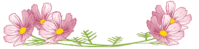 aln-117.gif