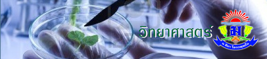 science3.jpg